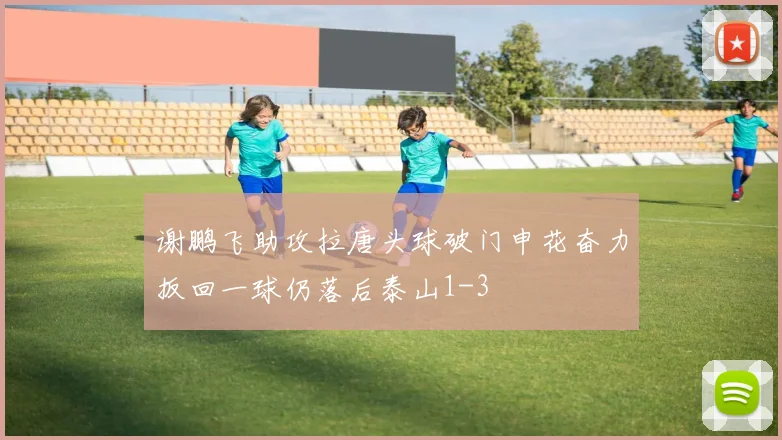 谢鹏飞助攻拉唐头球破门申花奋力扳回一球仍落后泰山1-3